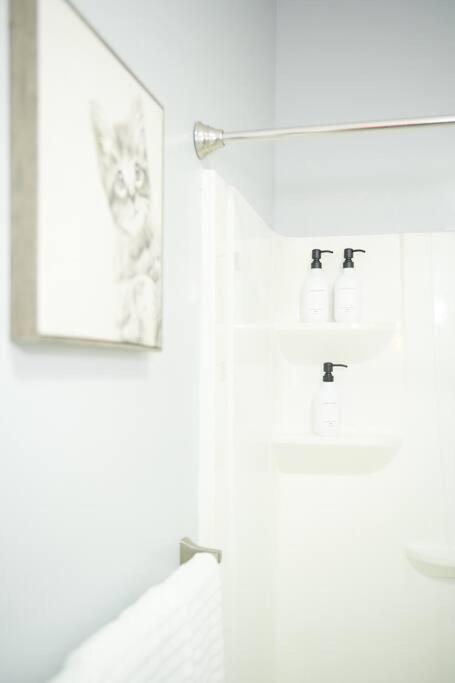 Cozy Apartment 2Nd 10Min Walk Downtown And City View Πρόβιντενς Εξωτερικό φωτογραφία